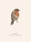 Robin Card