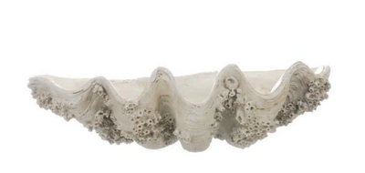 Medium Clam Bowl