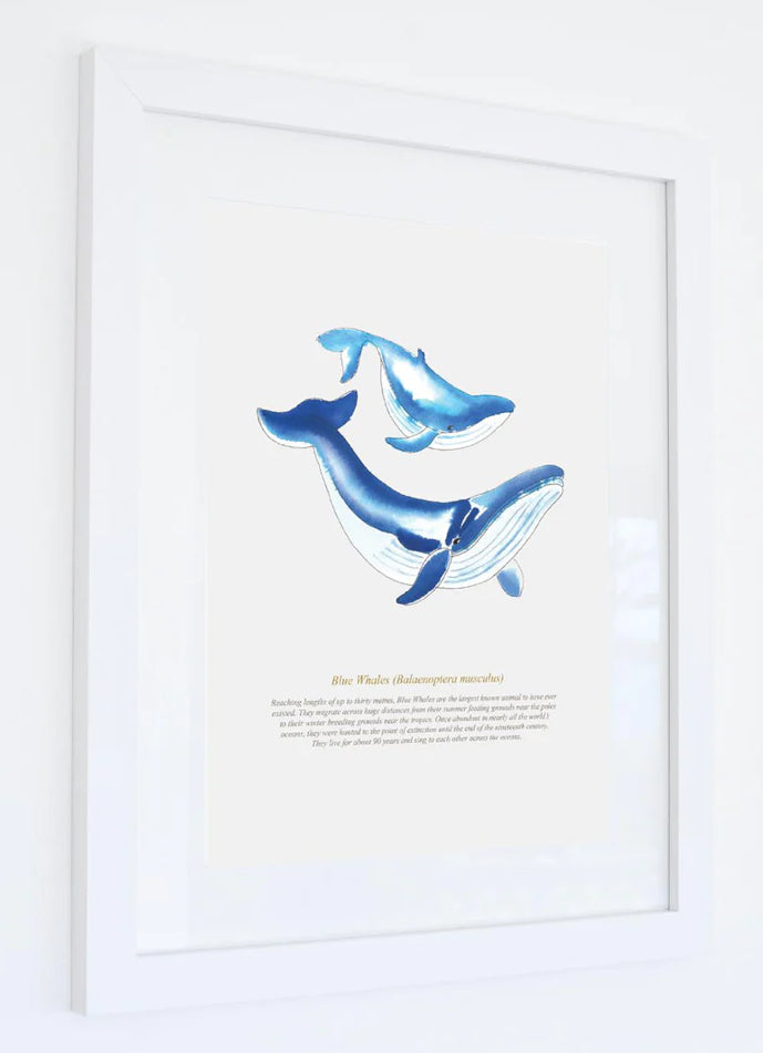 Framed Blue Whales Print Aurina Ltd