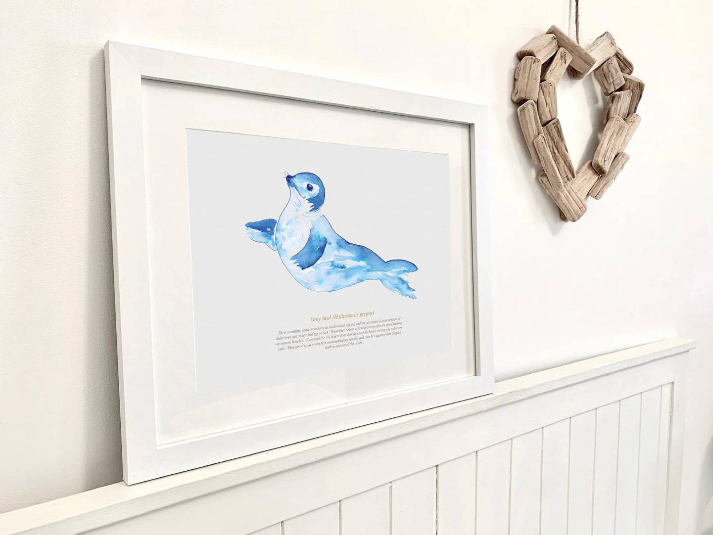 Framed Seal Print Aurina Ltd