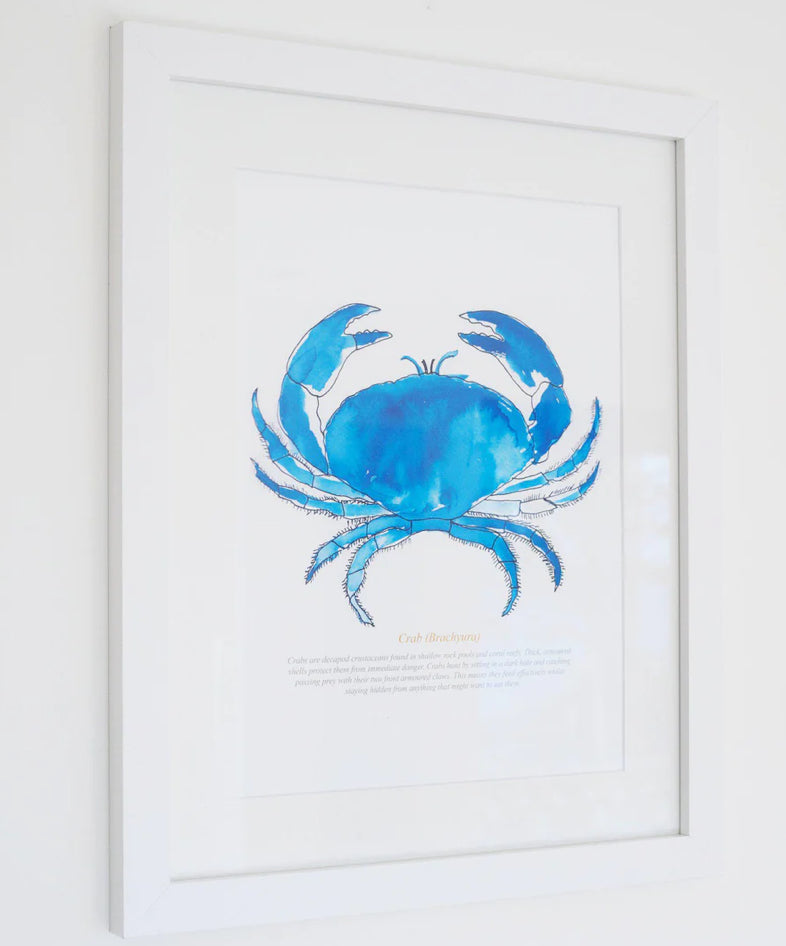 Framed Crab Print Aurina Ltd