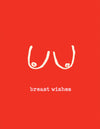 Breast Wishes Mini Card