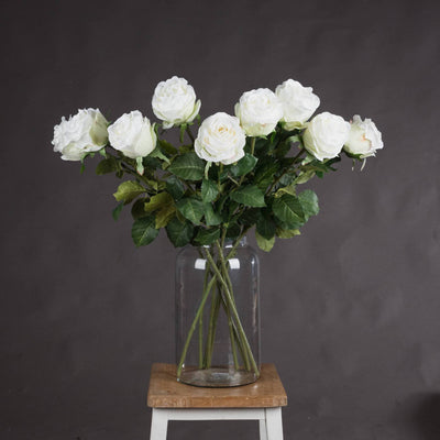 Traditional White Rose - Aurina Ltd