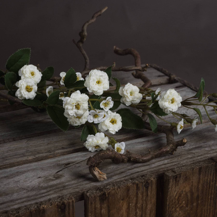 White Wild Meadow Rose - Aurina Ltd