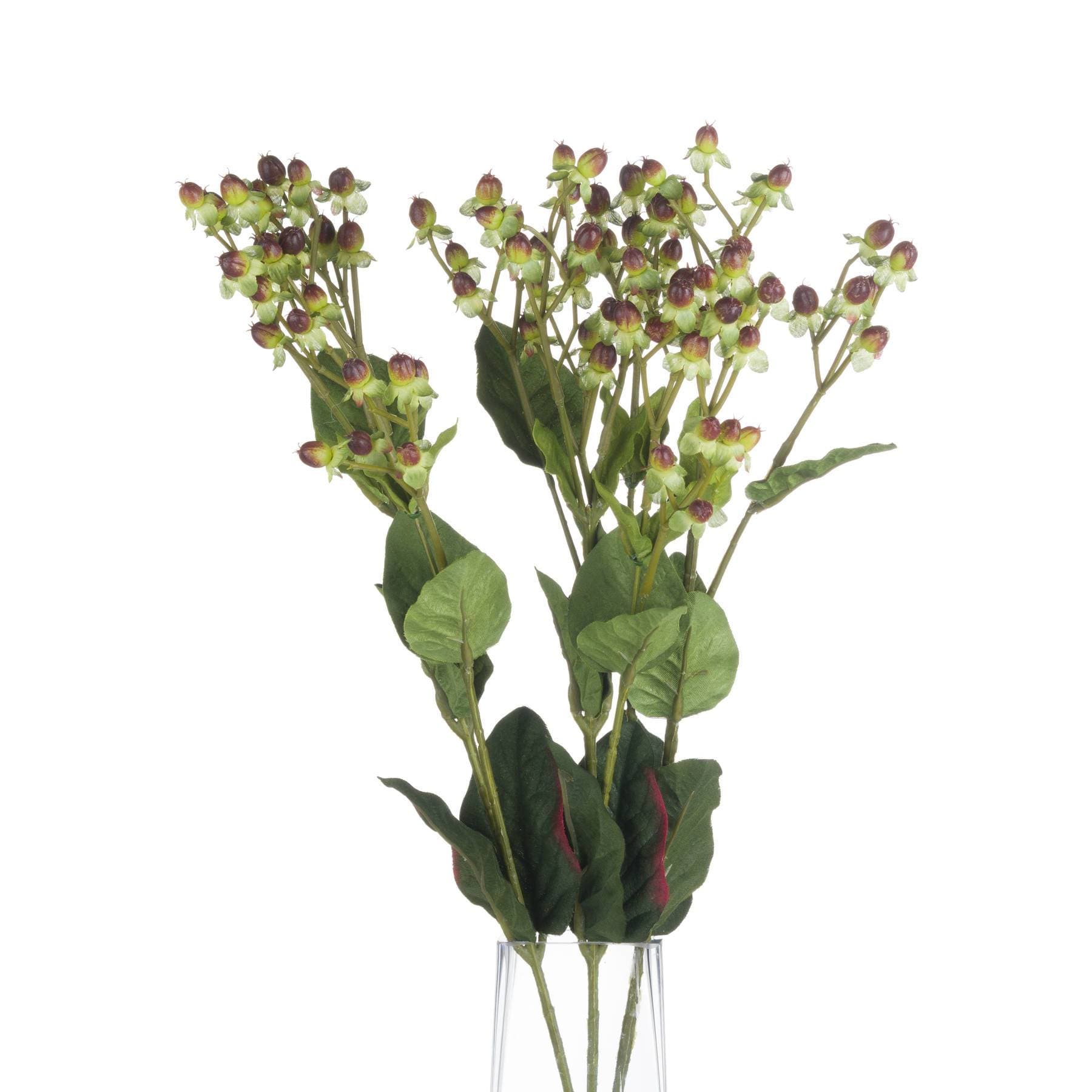 Brown Hypericum Berry Spray - Aurina Ltd