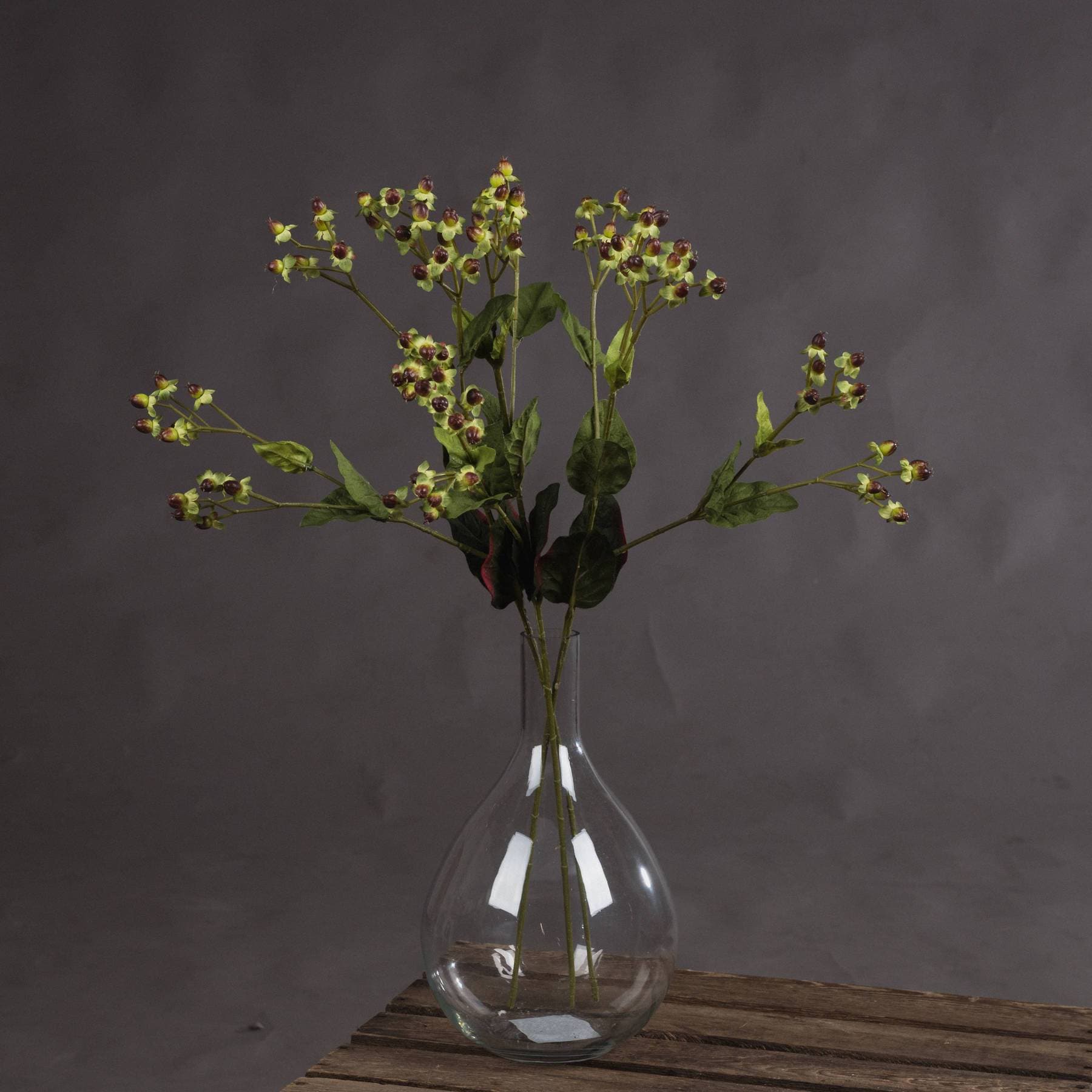 Brown Hypericum Berry Spray - Aurina Ltd