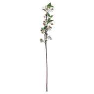 English Blossom Branch - Aurina Ltd