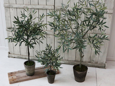 Fabulous Faux Olive Tree in Ceramic Pot - Aurina Ltd