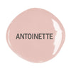 Annie Sloan Chalk Paint®Decorative Paint Antoinette - Aurina Ltd
