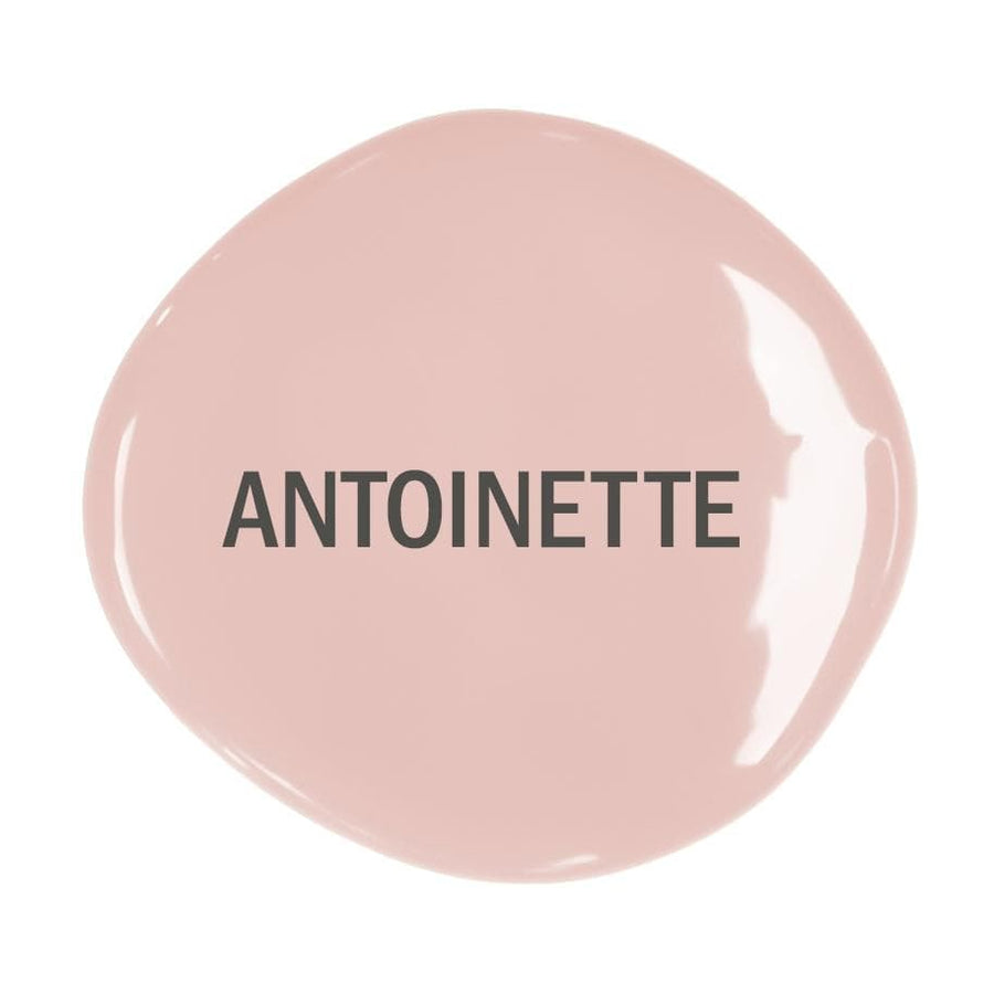 Annie Sloan Chalk Paint®Decorative Paint Antoinette - Aurina Ltd
