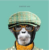 Dapper Card - Aurina Ltd