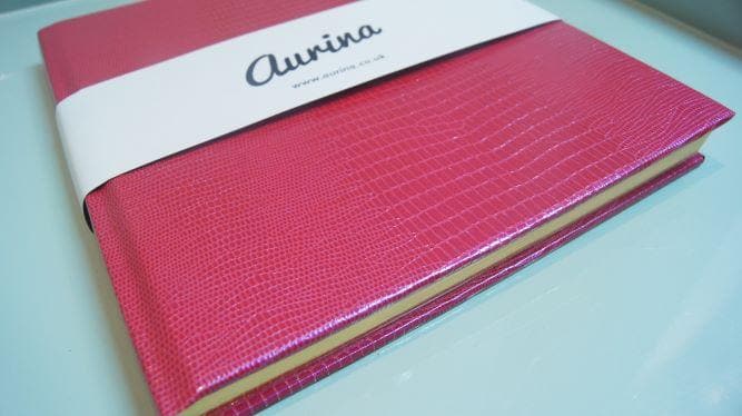 The Iguana Notebook - Aurina Ltd