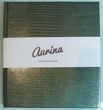 The Iguana Notebook - Aurina Ltd