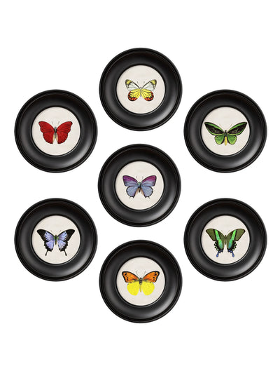 C. 1835 COLLECTION OF BUTTERFLIES IN SMALL ROUND FRAMES - Aurina Ltd