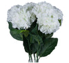 Classic White Hydrangea - Aurina Ltd