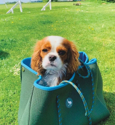 Funshine Neoprene Tote Bag - Aurina Ltd
