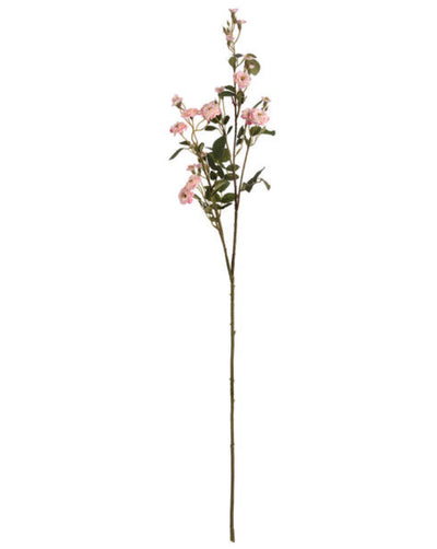 Pink Wild Meadow Rose - Aurina Ltd