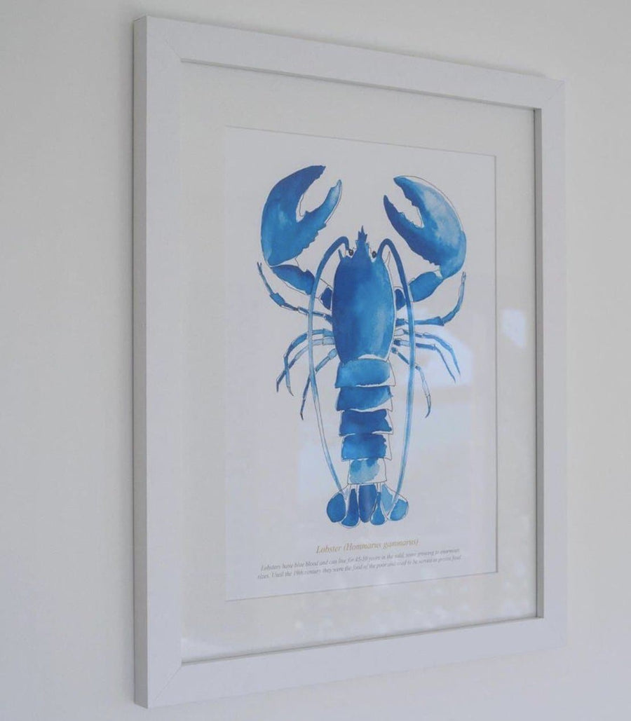 Framed Lobster Print - Aurina Ltd