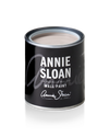 Annie Sloan Wall Paint Adelphi - Aurina Ltd