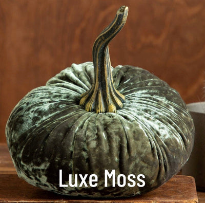 Extra Large Velvet Pumpkin