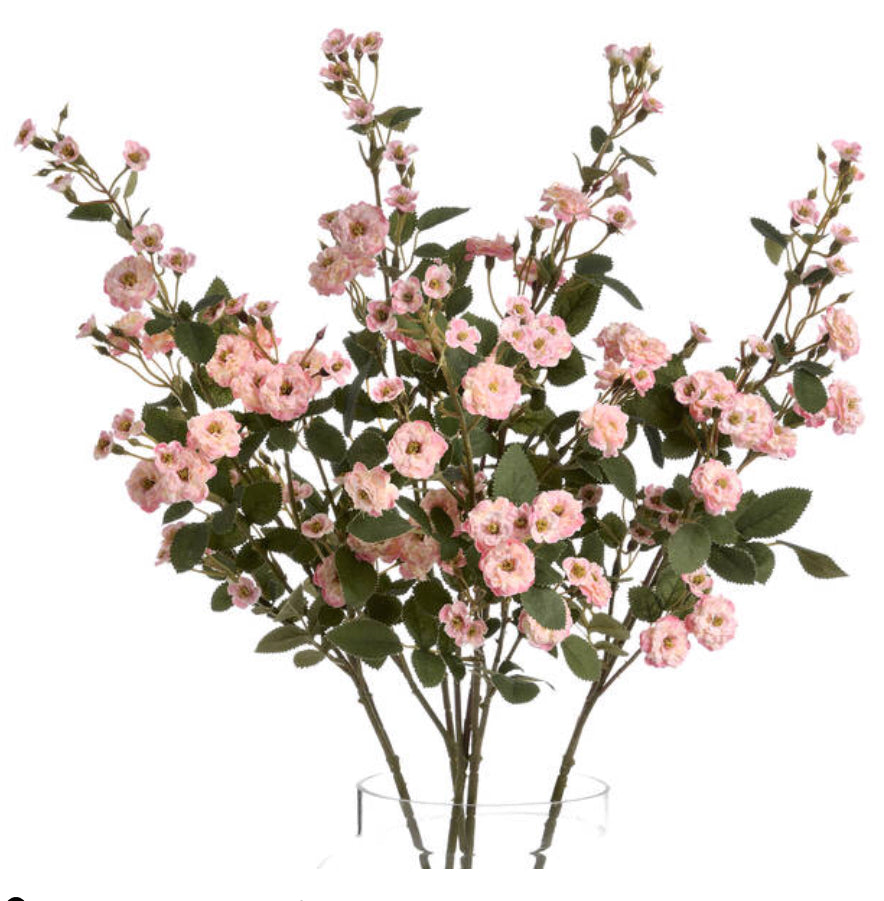 Pink Wild Meadow Rose - Aurina Ltd