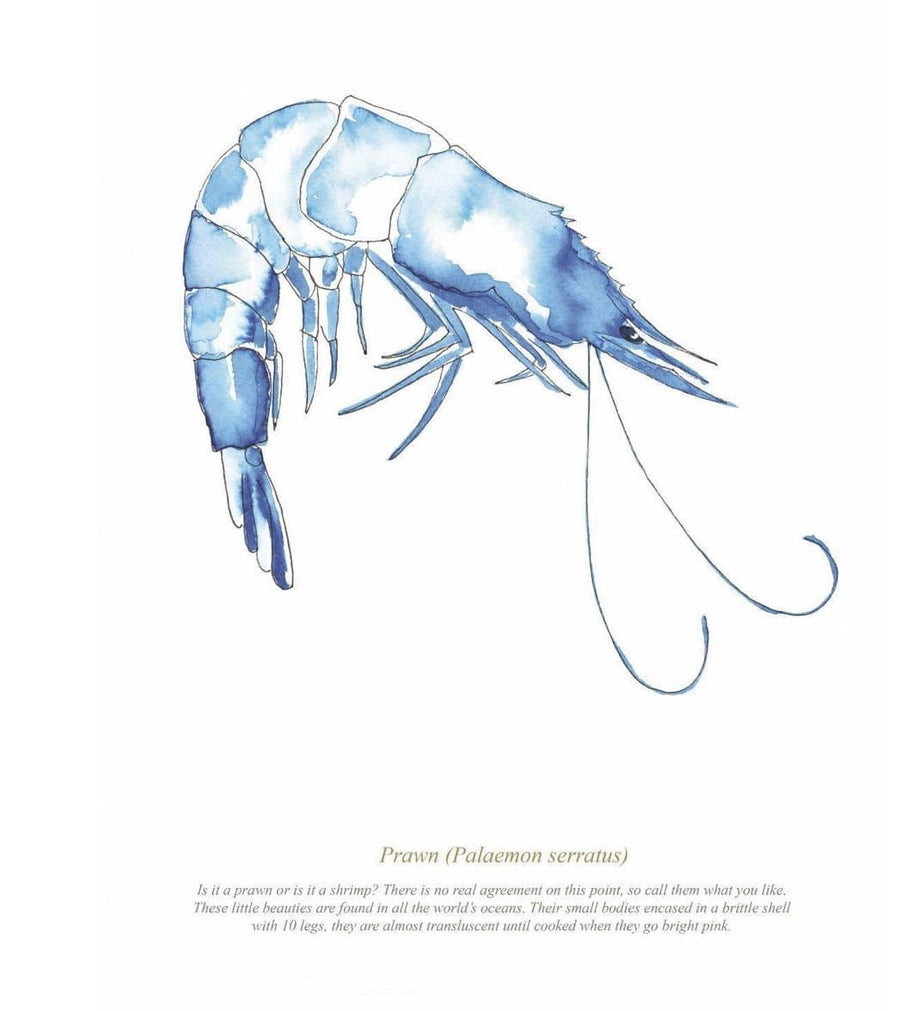 Framed Prawn Print - Aurina Ltd