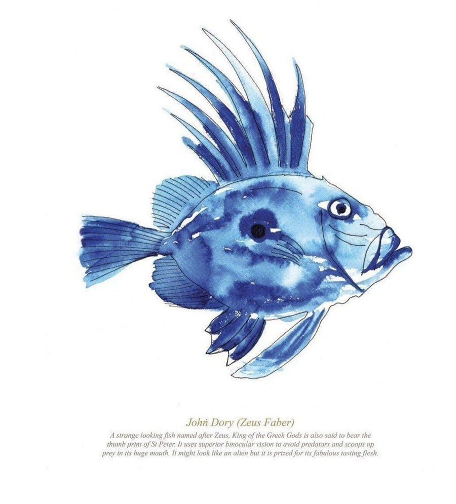 Framed John Dory Print - Aurina Ltd