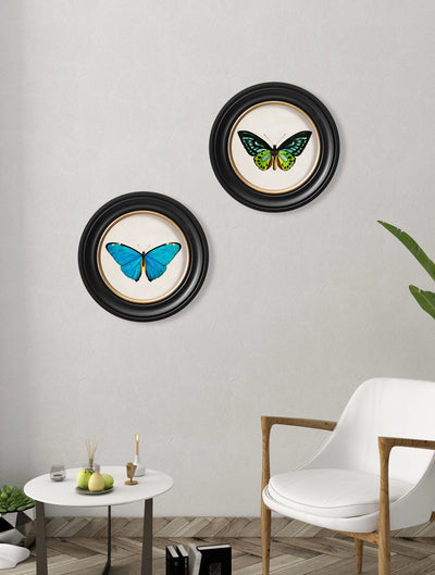 C.1836 TROPICAL BUTTERFLIES ROUND FRAMES - Aurina Ltd