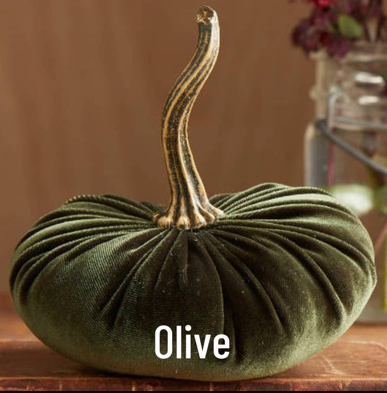 Small Velvet Pumpkin