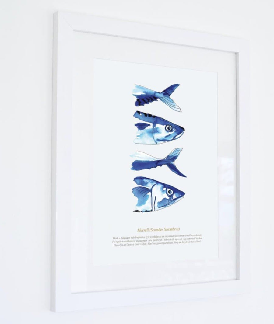 Framed Mackerel Print - Aurina Ltd