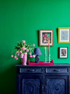 Annie Sloan Wall Paint Schinkel Green - Aurina Ltd