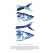Framed Mackerel Print - Aurina Ltd