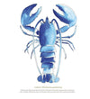 Framed Lobster Print - Aurina Ltd