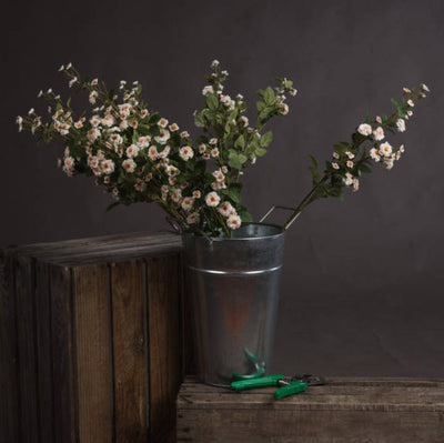 Cream Wild Meadow Rose - Aurina Ltd
