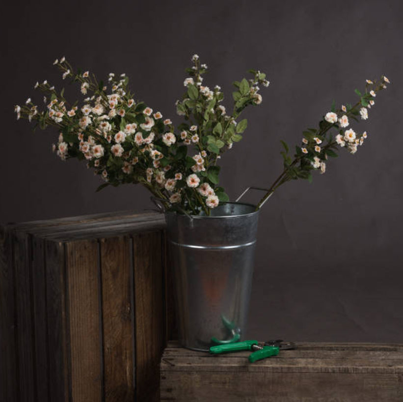 Cream Wild Meadow Rose - Aurina Ltd