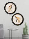 C.1809 Birds of Paradise - Round Frames - Aurina Ltd