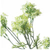 Green Plumb Blossom Spray - Aurina Ltd