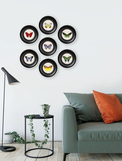 C. 1835 COLLECTION OF BUTTERFLIES IN SMALL ROUND FRAMES - Aurina Ltd