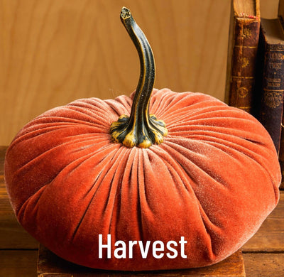 Extra Large Velvet Pumpkin