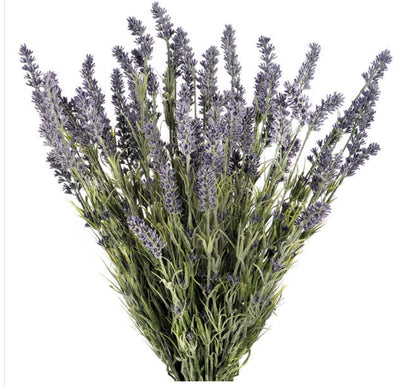 Large Lavender Bush Spray - Aurina Ltd