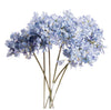 Large Headed Blue Agapanthus - Aurina Ltd