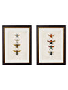 C. 1892 BEES AND WASPS - Aurina Ltd