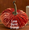 Extra Large Velvet Pumpkin