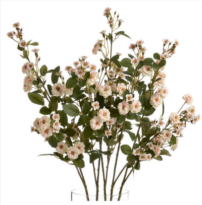 Cream Wild Meadow Rose - Aurina Ltd