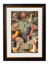 C.1904 Haeckel Flora - Aurina Ltd