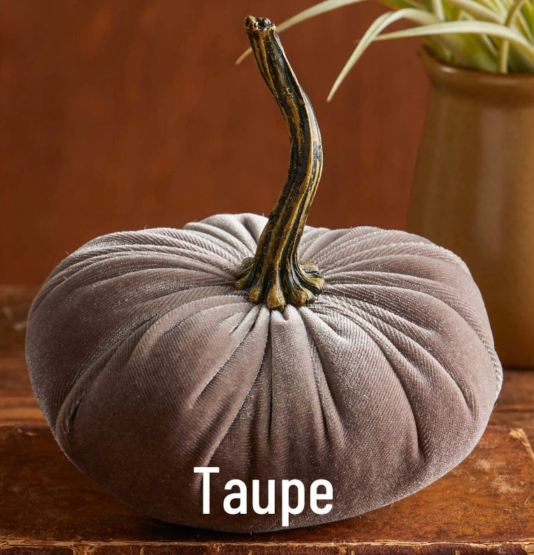 Small Velvet Pumpkin