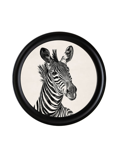 Zebra Illustrations in Round Frame - Light - Aurina Ltd