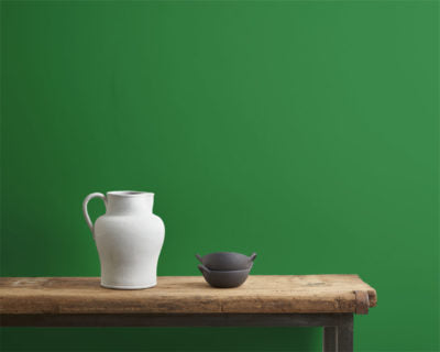 Annie Sloan Wall Paint Schinkel Green - Aurina Ltd