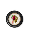 C.1843 Chocolate Plant - Round Frame - Aurina Ltd