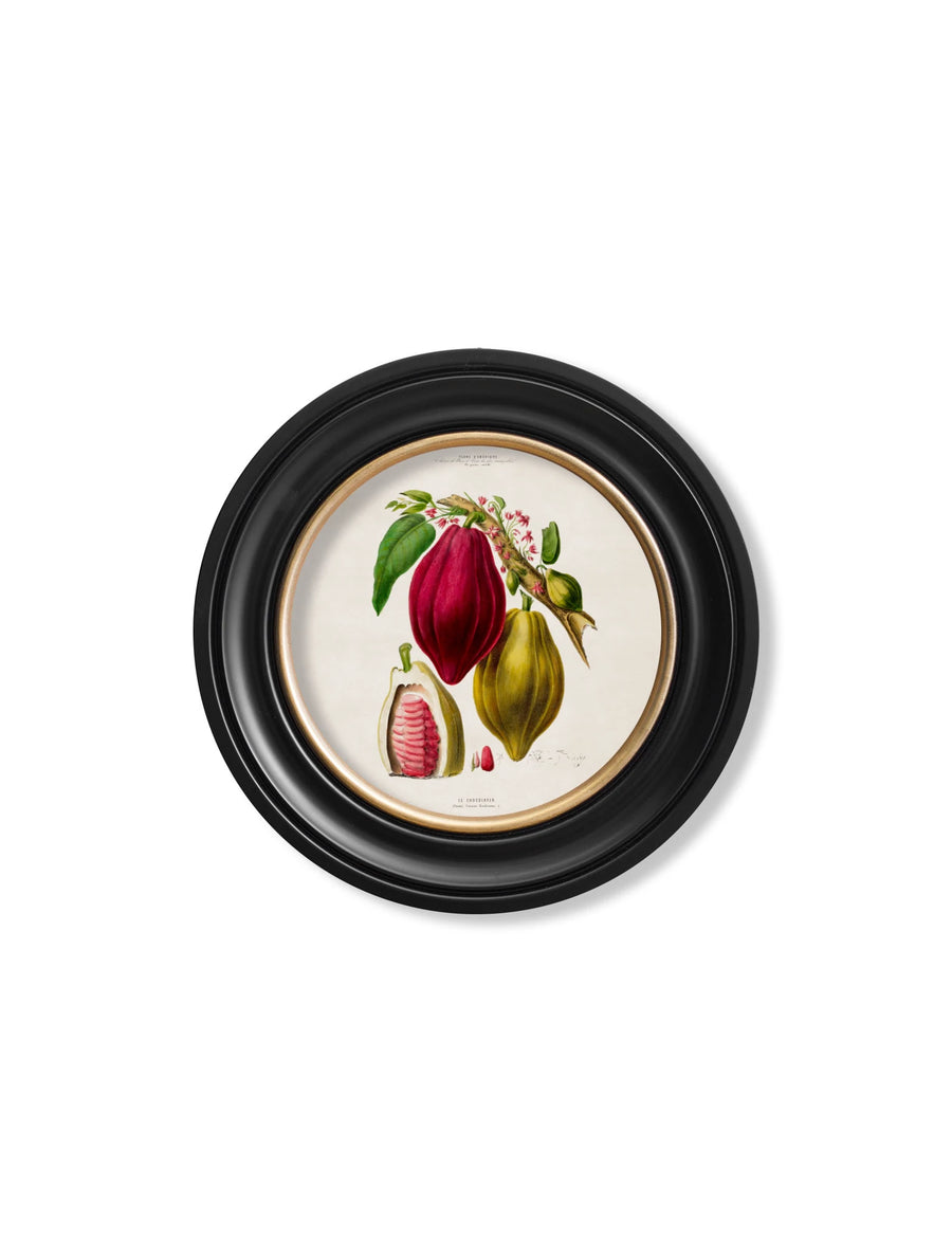 C.1843 Chocolate Plant - Round Frame - Aurina Ltd